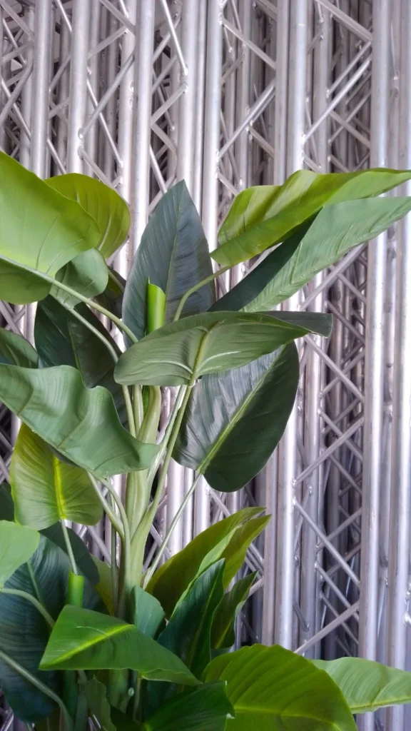 artificial plants