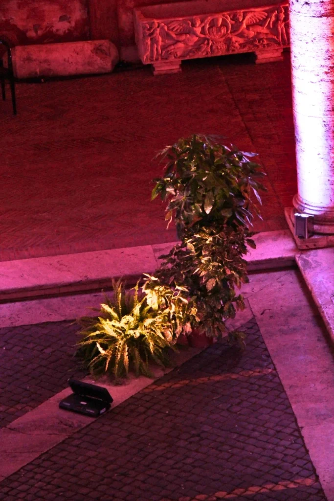 bridgestone plants for private event